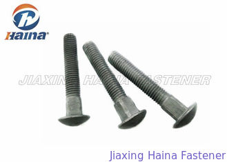 Customized HDG Long Square Neck Large Carriage Head Bolt