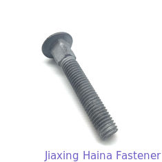 Grade 4.8 5.8 M12 M14 Metric Hot Dip Galvanized Mushroom Head Carriage Bolt