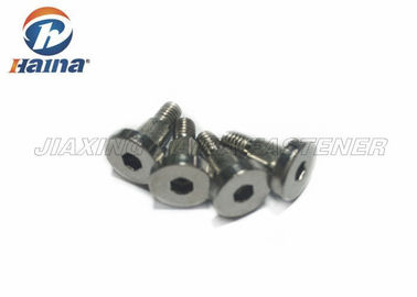 Omuz ile Kaba Dişli Paslanmaz Çelik Makina Vidalar M6 Hex Soket Başkanı