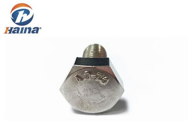 M8 M6 Paslanmaz Çelik 304 316 Altıgen Başlı Cıvata ve Somunlar
