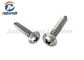 AISI 304 Stainless Steel Self Tapping Sharp Point Pan Head Framing Screws